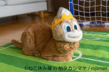 5年ぶり千葉開催！90万人以上が来場した“ねこの祭典” スター猫にも注目の「ねこ休み展 in 柏タカシマヤ」4/22～開催