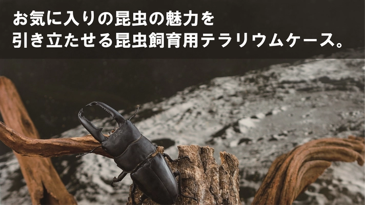 お気に入りの昆虫の魅力を引き立たせる 昆虫飼育用テラリウムケースの予約販売を開始