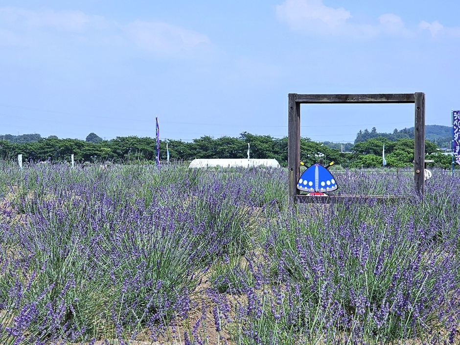 フォトスポットも充実