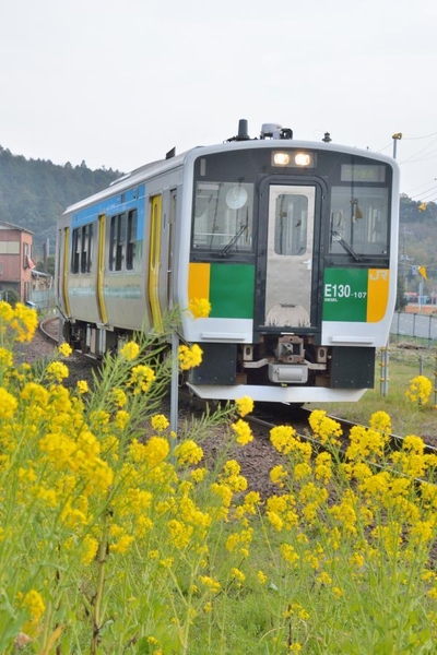 奥房総を走るディーゼル車(画像：きみつフォトバンク)