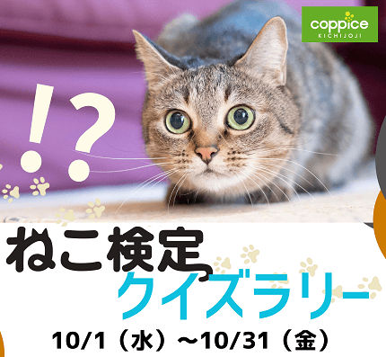 ねこ検定クイズラリー
