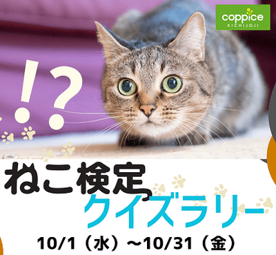 ねこ検定クイズラリー
