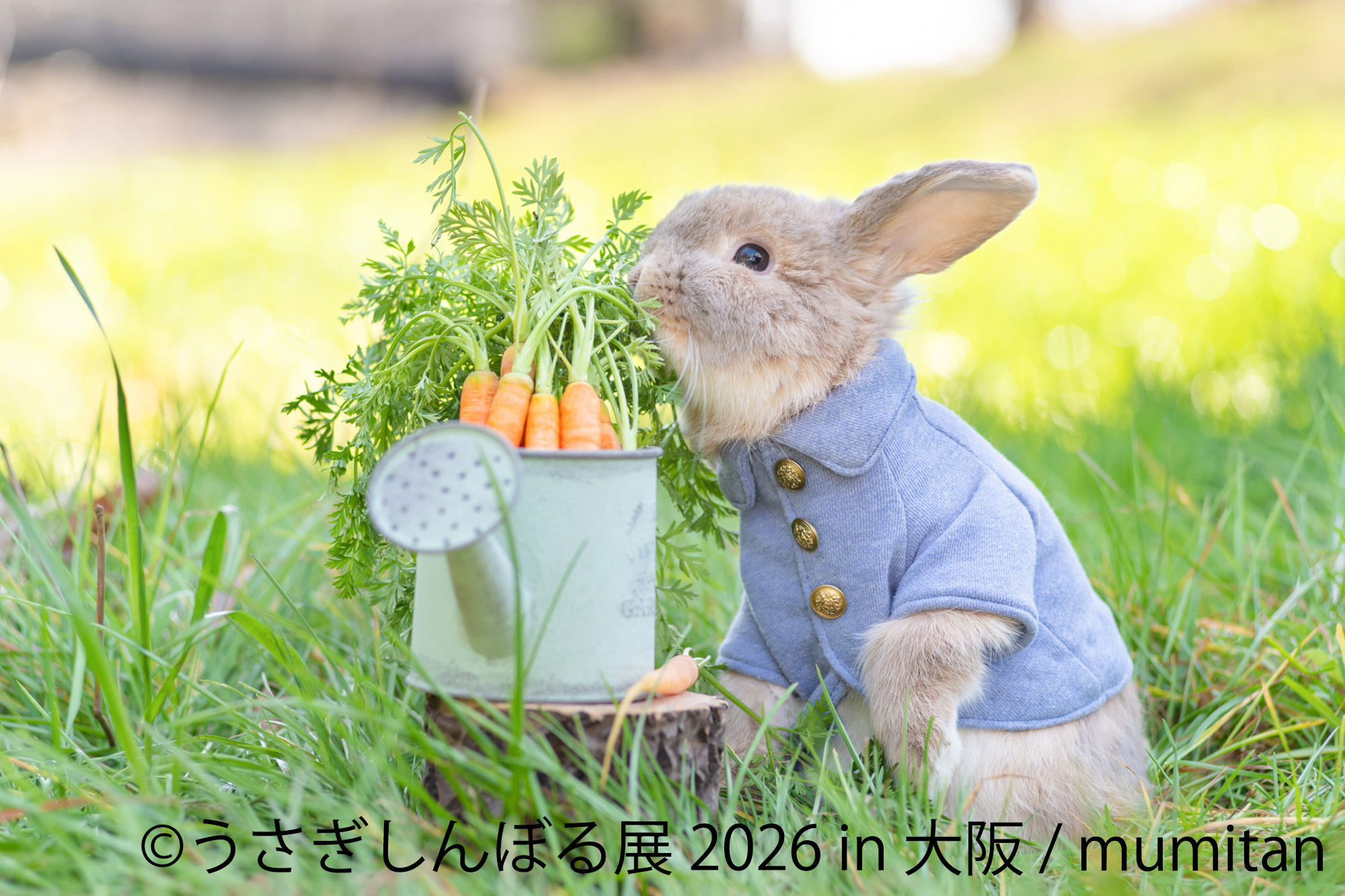 うさぎしんぼる 展示作品:mumitan