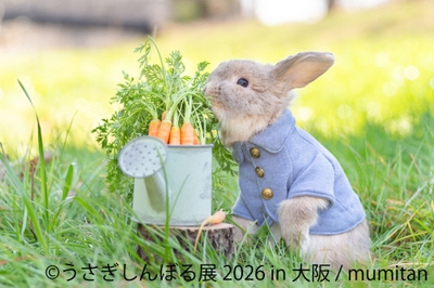うさぎしんぼる 展示作品:mumitan