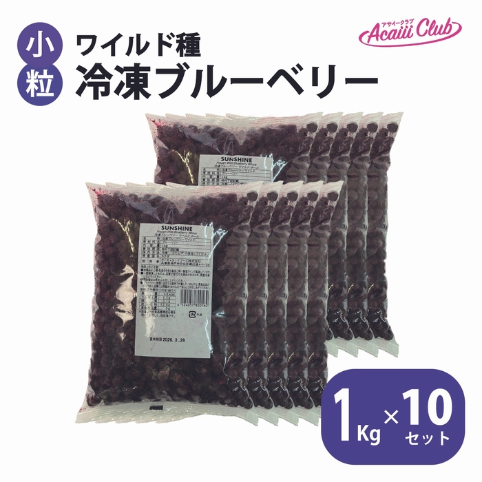 ワイルド種　冷凍ブルーベリー