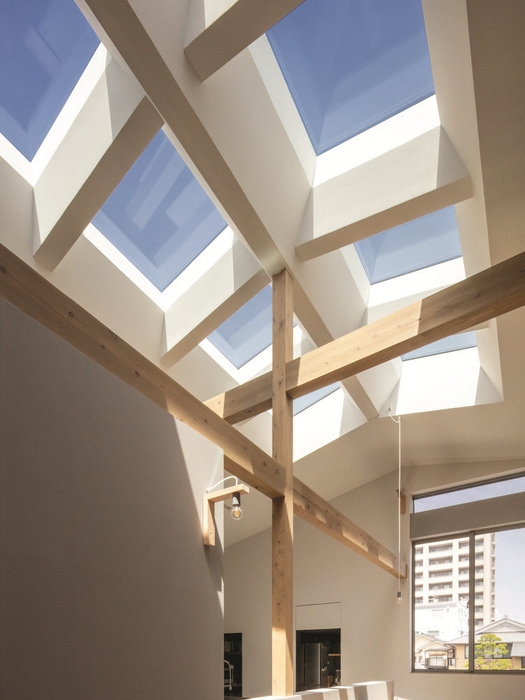 日本ベルックス株式会社/天窓