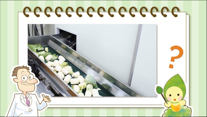 パックそうざい工場 動画(2)