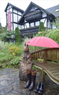 雨の日の様子（イメージ）