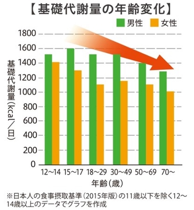 加齢とともに基礎代謝量は低下していく