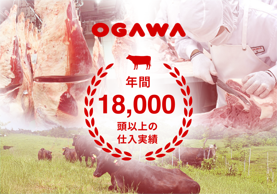 (5)小川グループ