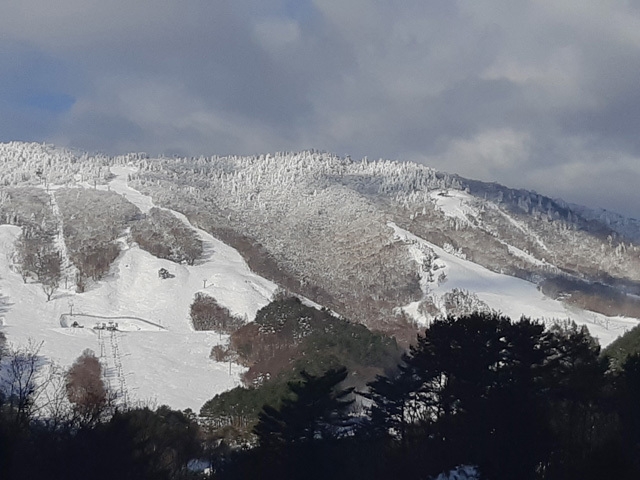 恐羅漢スノーパーク全景