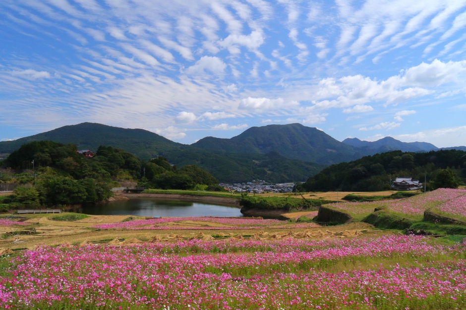 優秀賞「旅秋」