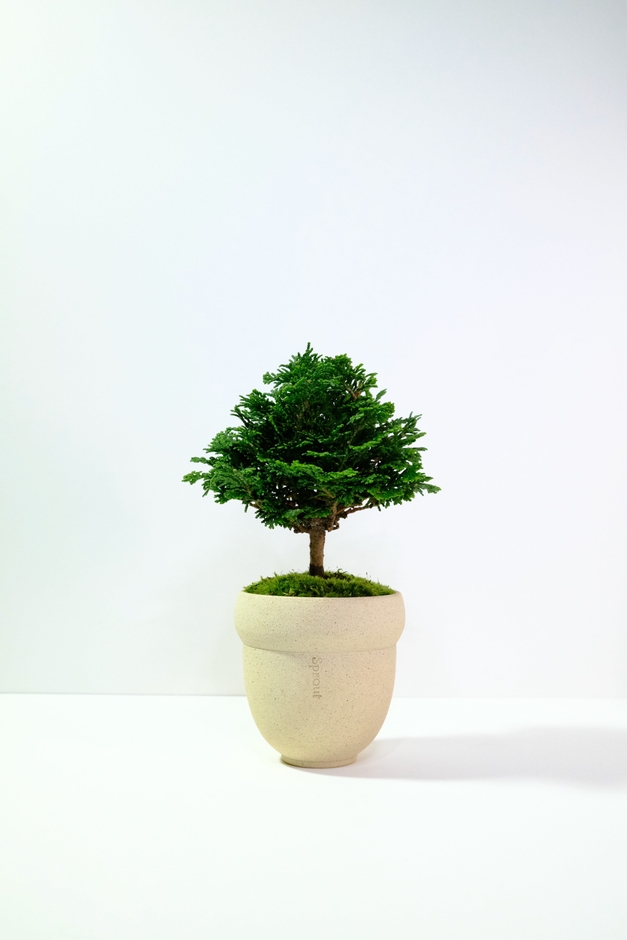 暮らしゾーン(西エリア 61.三寒四温)