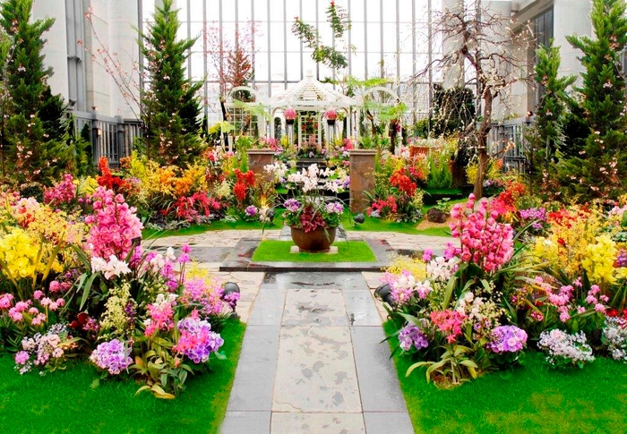 淡路夢舞台温室「奇跡の星の植物館」ラン展(イメージ)