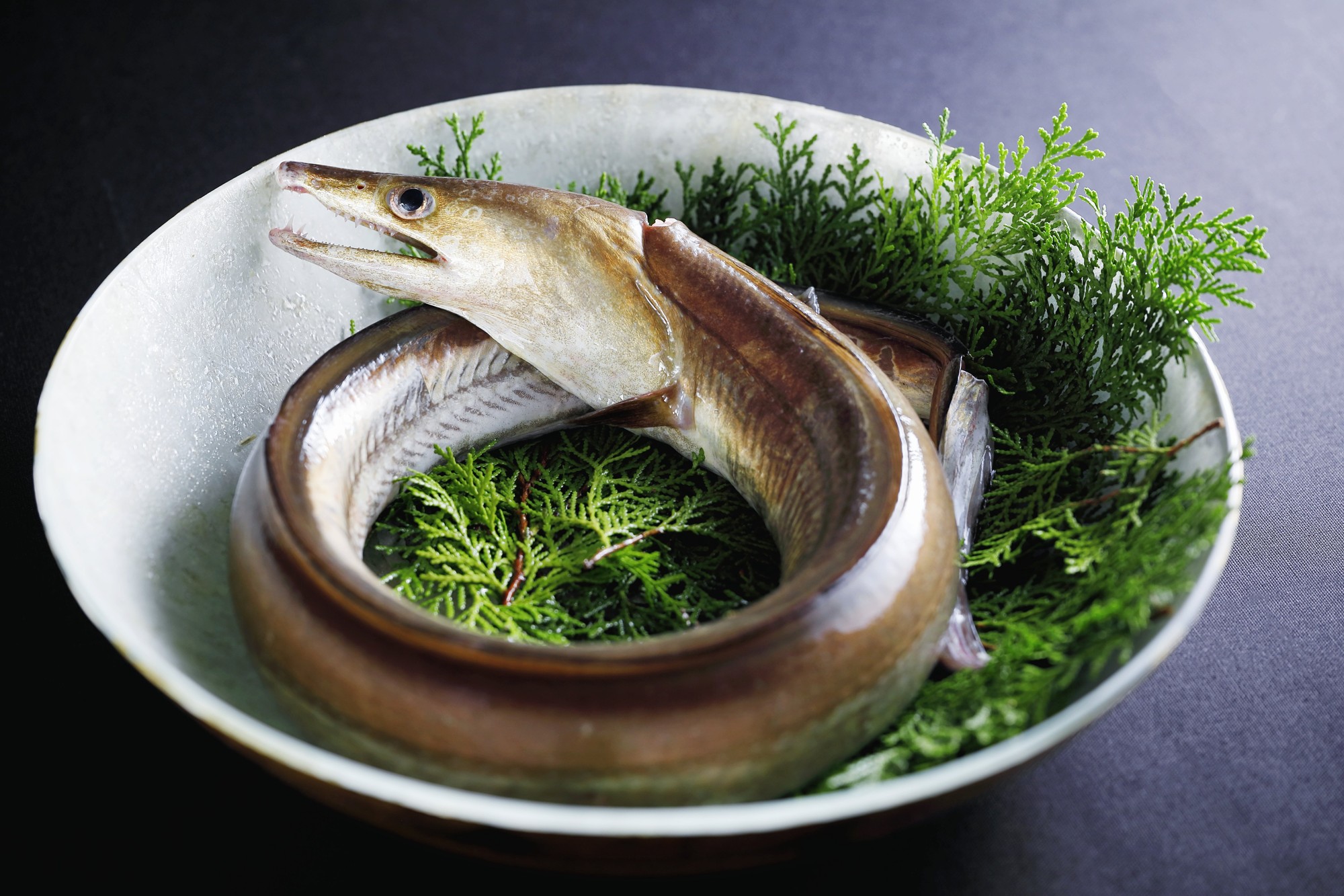 淡路島の源泉かけ流し温泉旅館「洗心和方」鱧尽くしの贅沢なひと時 夏季限定 淡路島産『鱧コースプラン』6月1日より提供開始