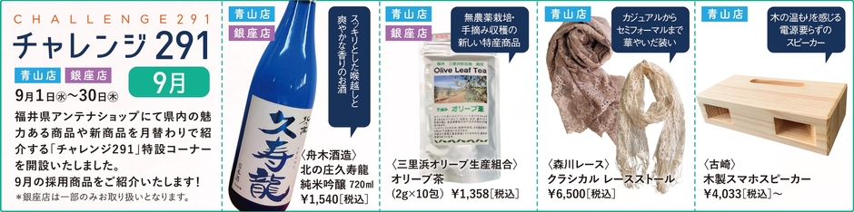チャレンジ291(9月)