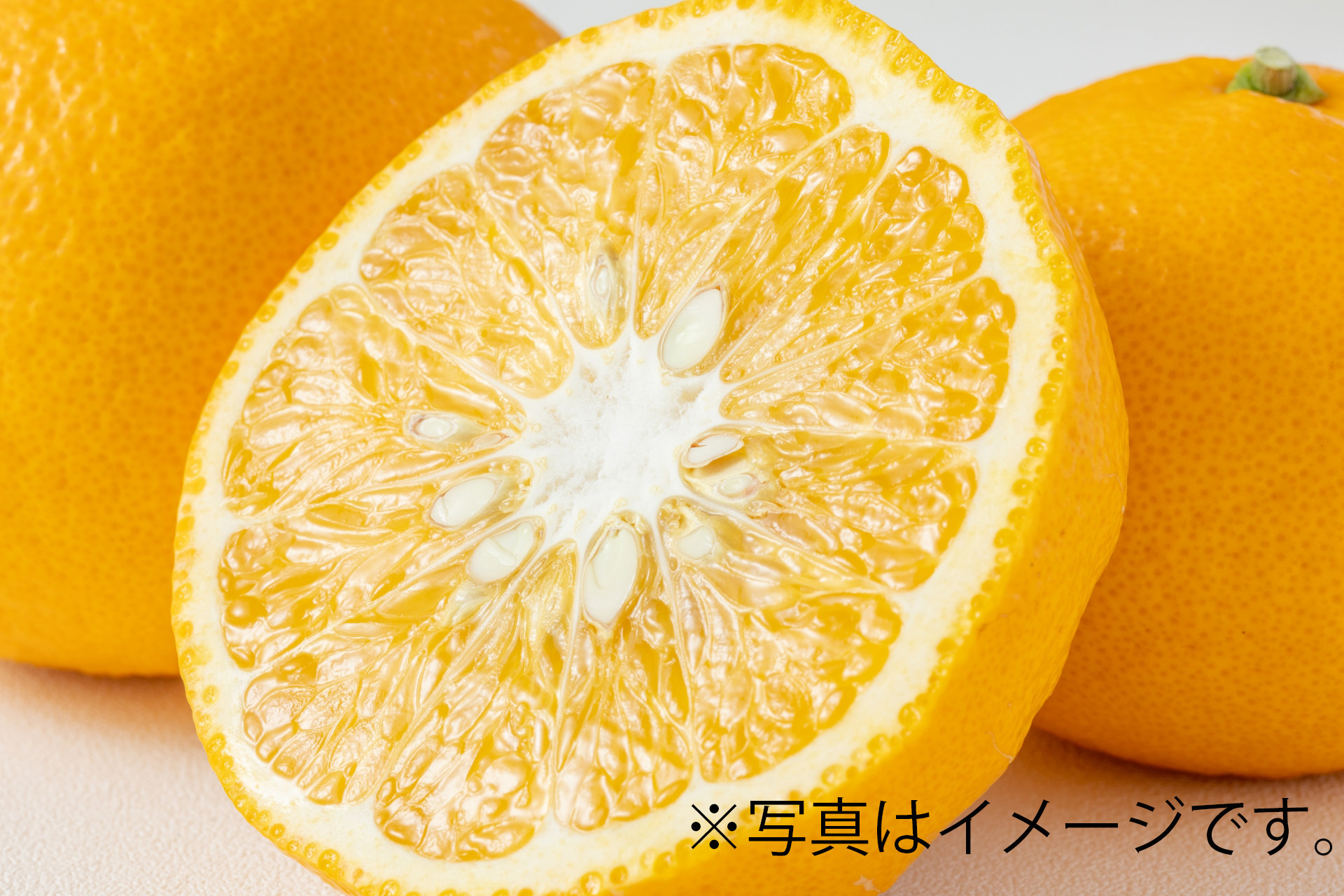 甘夏詰め放題(3/15(日)のみ)