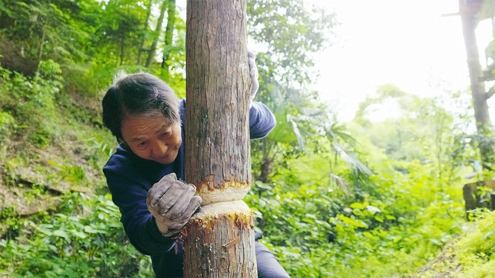 ＜グレートジャーニー＞関野吉晴の集大成の旅 「旧石器時代タイムトラベル計画」映画制作クラファンを開始！