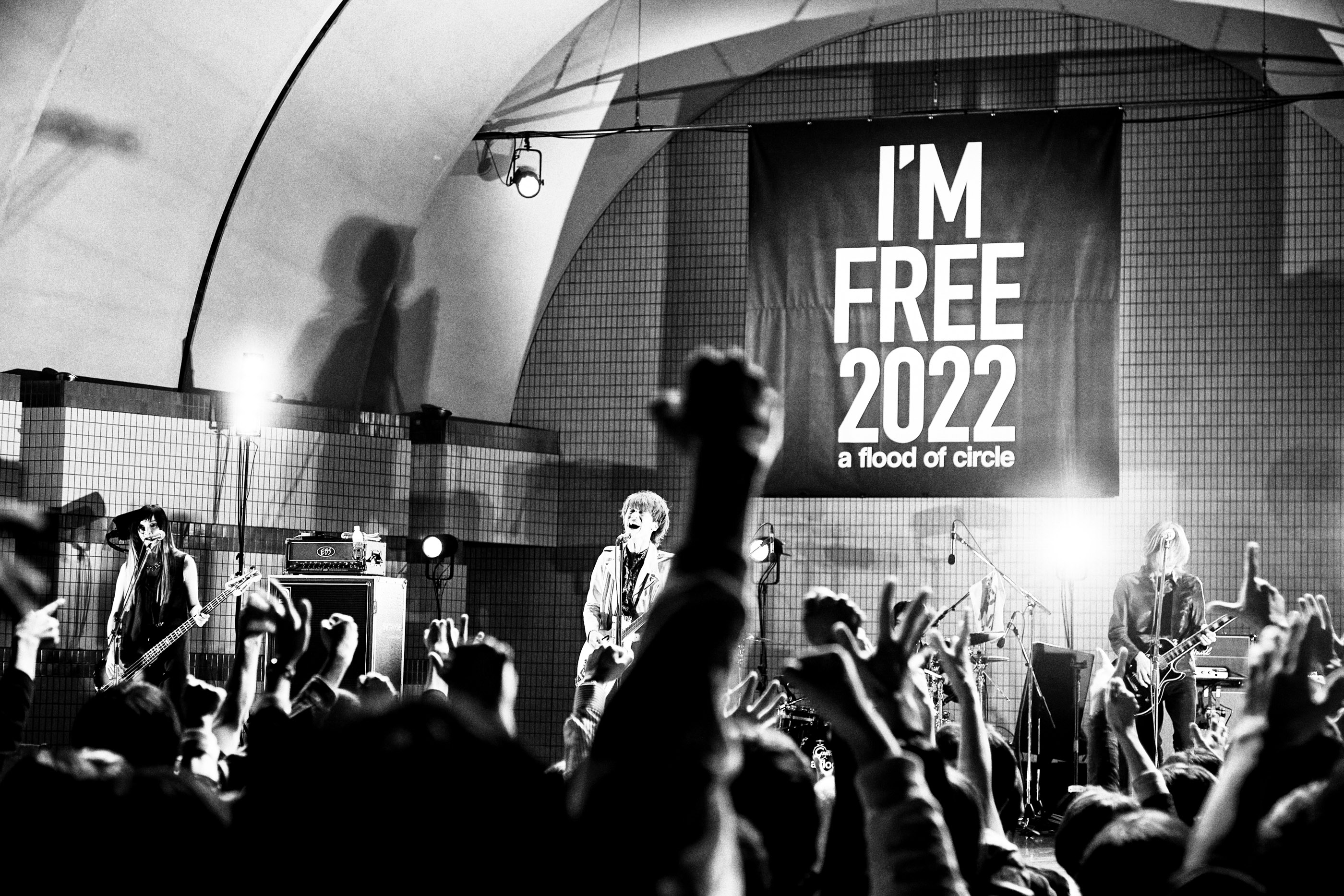 a flood of circle『Honey Moon Song』代々木野音ライブ映像公開