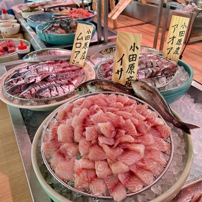 大人気の食べ放題にも地魚が登場