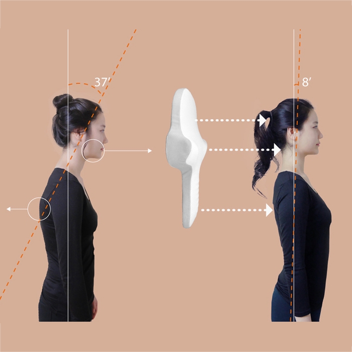 ゴッチョ背まくら 3