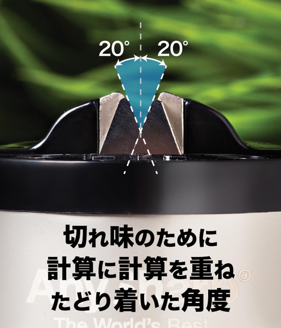 参考画像5