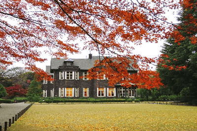 洋館と紅葉
