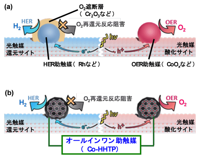 図2.（a）既存の助触媒を用いたOWS光触媒システムと、（b）本研究で追究したオールインワン助触媒を用いたOWS光触媒システム。