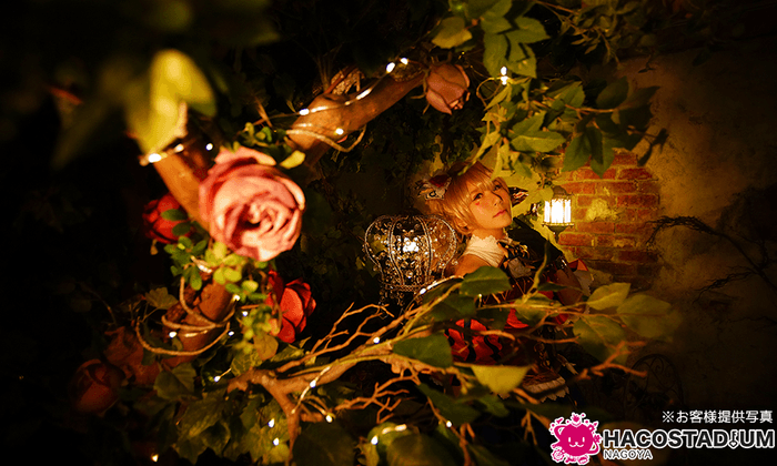 アリス:お客様写真