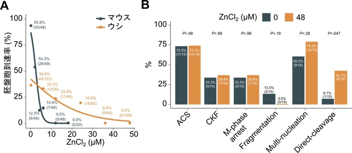 図5 ウシ胚及びヒト胚に対する亜鉛の影響