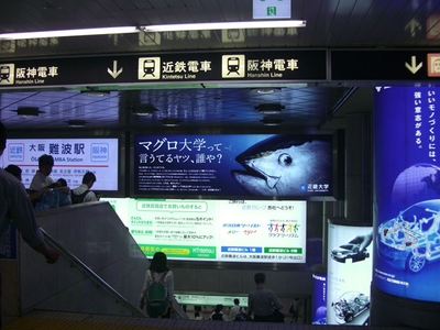 近鉄大阪難波駅の電照看板「マグロ大学って言うてるヤツ、誰や?」