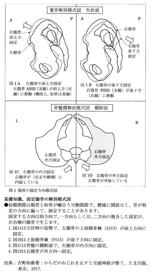 図1