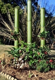 場所：大正記念館前（９時～17時）