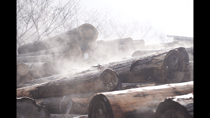樹齢100年の小国杉を使用