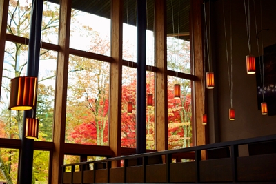 日本料理嘉助の席から紅葉を眺める