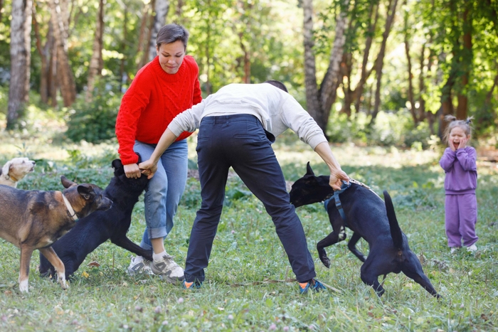 犬同士の喧嘩が万が一起こってしまった場合に飼い主さんができる対処方法をご紹介いたします。