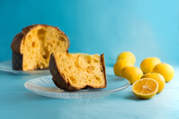 愛媛県産黄金柑のパネットーネ／ピアット スズキ