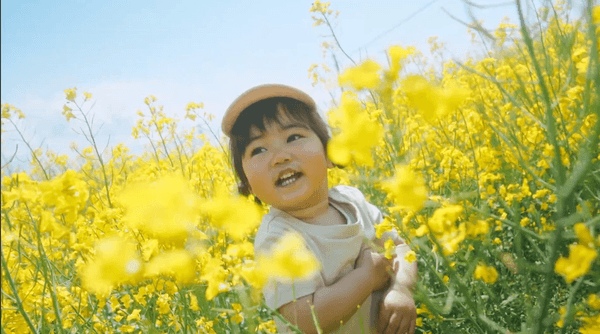 誰もが写真を撮りたくなるような素晴らしさはSNSでの効果も高い。