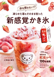 氷を使わないかき氷！？ フルーツジュース専門店が作る、新感覚かき氷「こちるごおり」が登場！