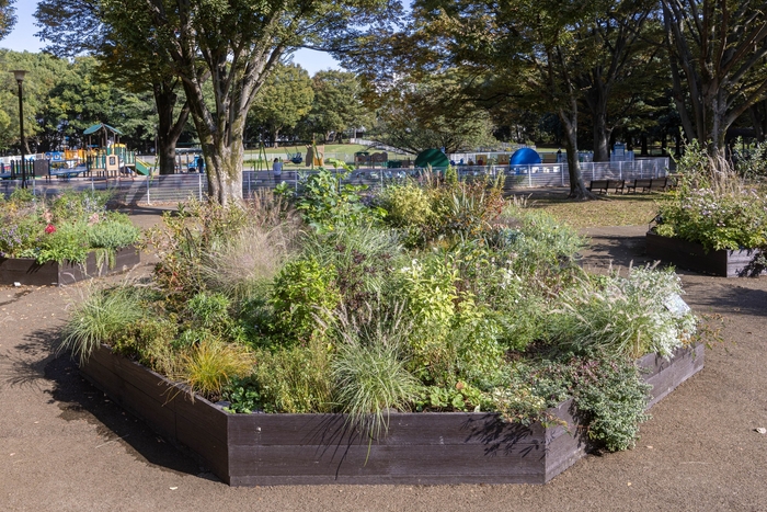 Bガーデンの様子(11月)