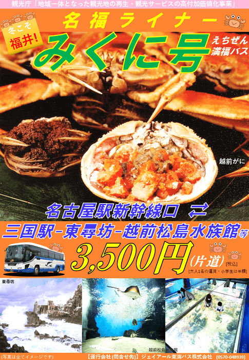 パンフレット(表)