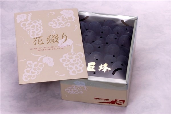 JAふくおか八女 有核巨峰(1Kg)