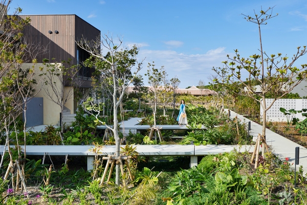 敷地に広がる庭