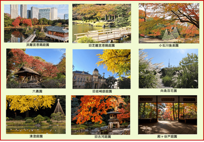 浜離宮恩賜庭園写真撮影:DRONE/47®︎