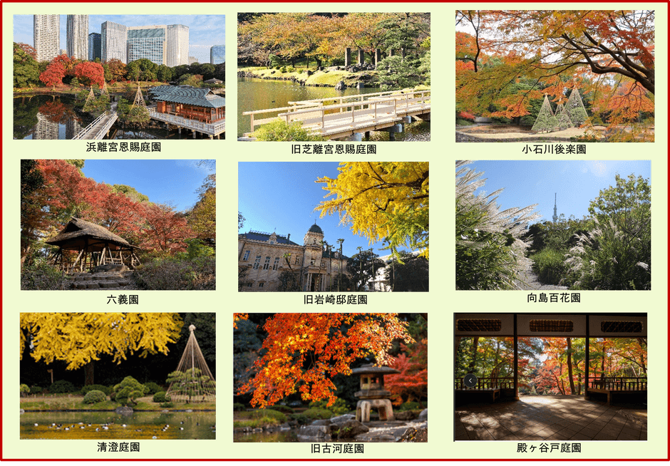 浜離宮恩賜庭園写真撮影：DRONE/47®︎