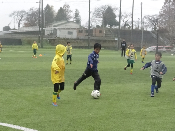 懸命にサッカーボールを追う子どもたち