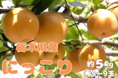 大玉で甘み豊かな栃木県産梨「にっこり」を産地直送通販サイト「ＪＡタウン」で販売中