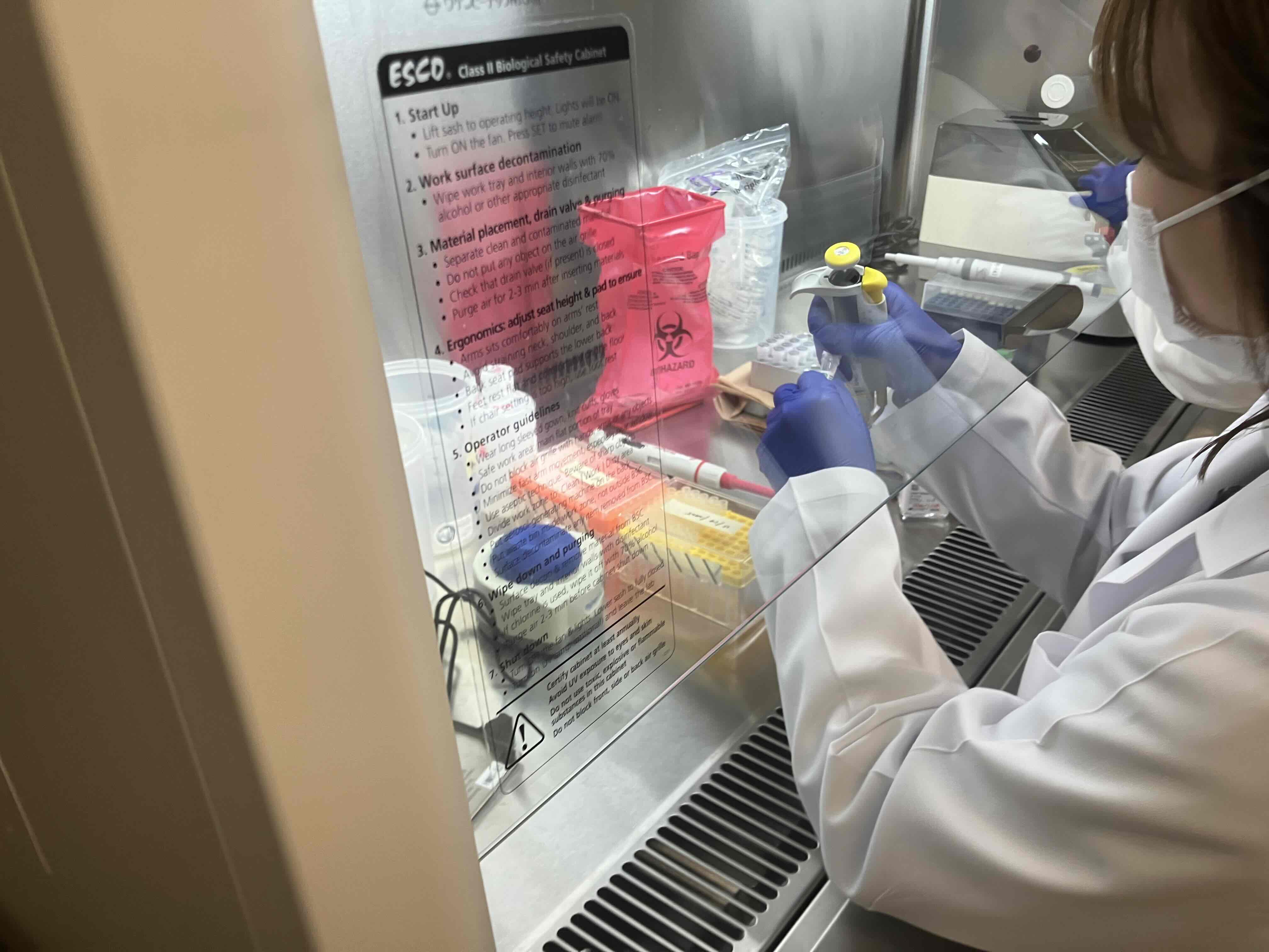 ハナミスイ、RT-qPCR法を用いた「腟内フローラ」の高精度定量測定システムを構築