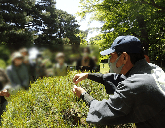 過去開催の様子