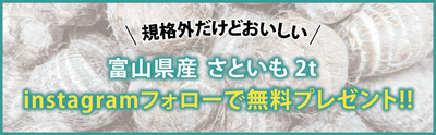 里芋を無料でプレゼント!